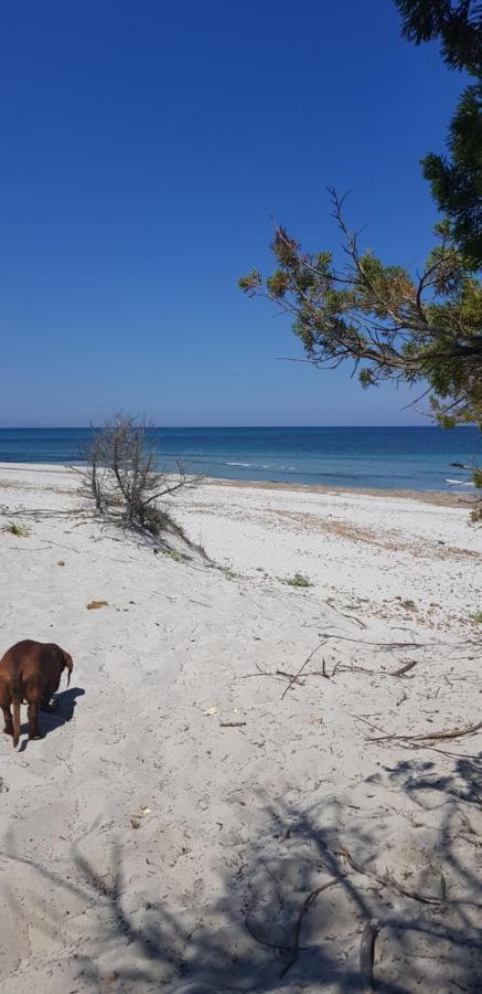 B&B Coco Olbia Zewnętrze zdjęcie